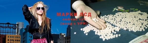 ECSTASY Кукмор