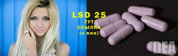 ECSTASY Кукмор