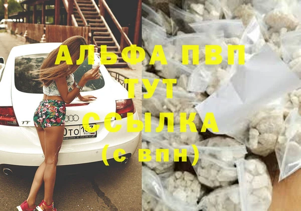 ECSTASY Кукмор