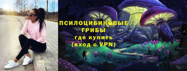 прущие крисы Рославль