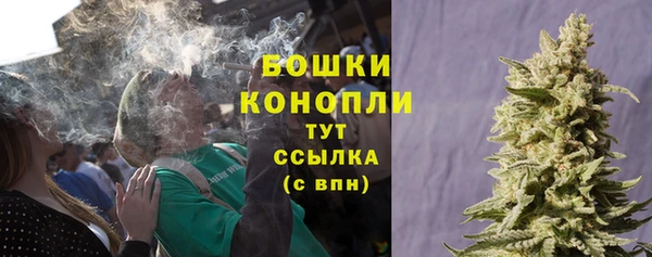 ECSTASY Кукмор