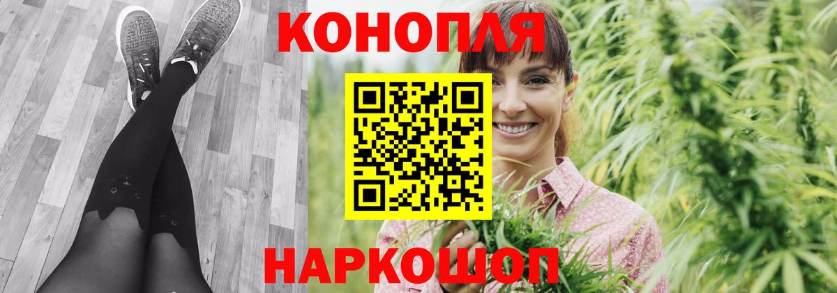 Каннабис OG Kush  Канабис планчик  Муром  Вход с VPN  Марихуана VHQ 